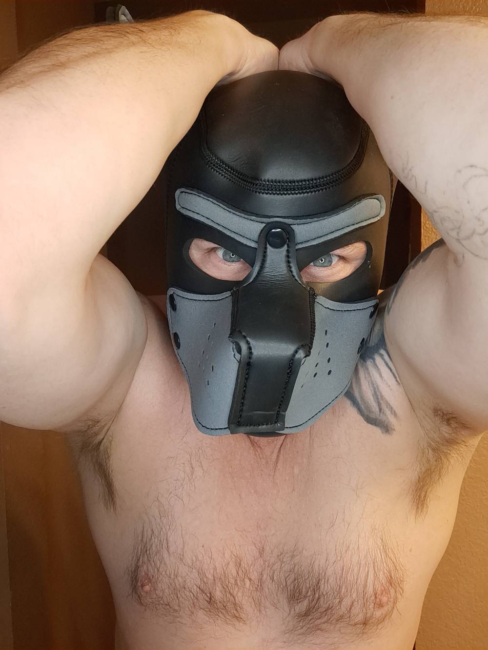 PUP3737 OnlyFans – free nudes, naked, leaked