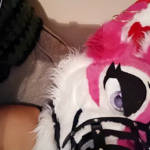 naughtiedoge OnlyFans – free nudes, naked, leaked