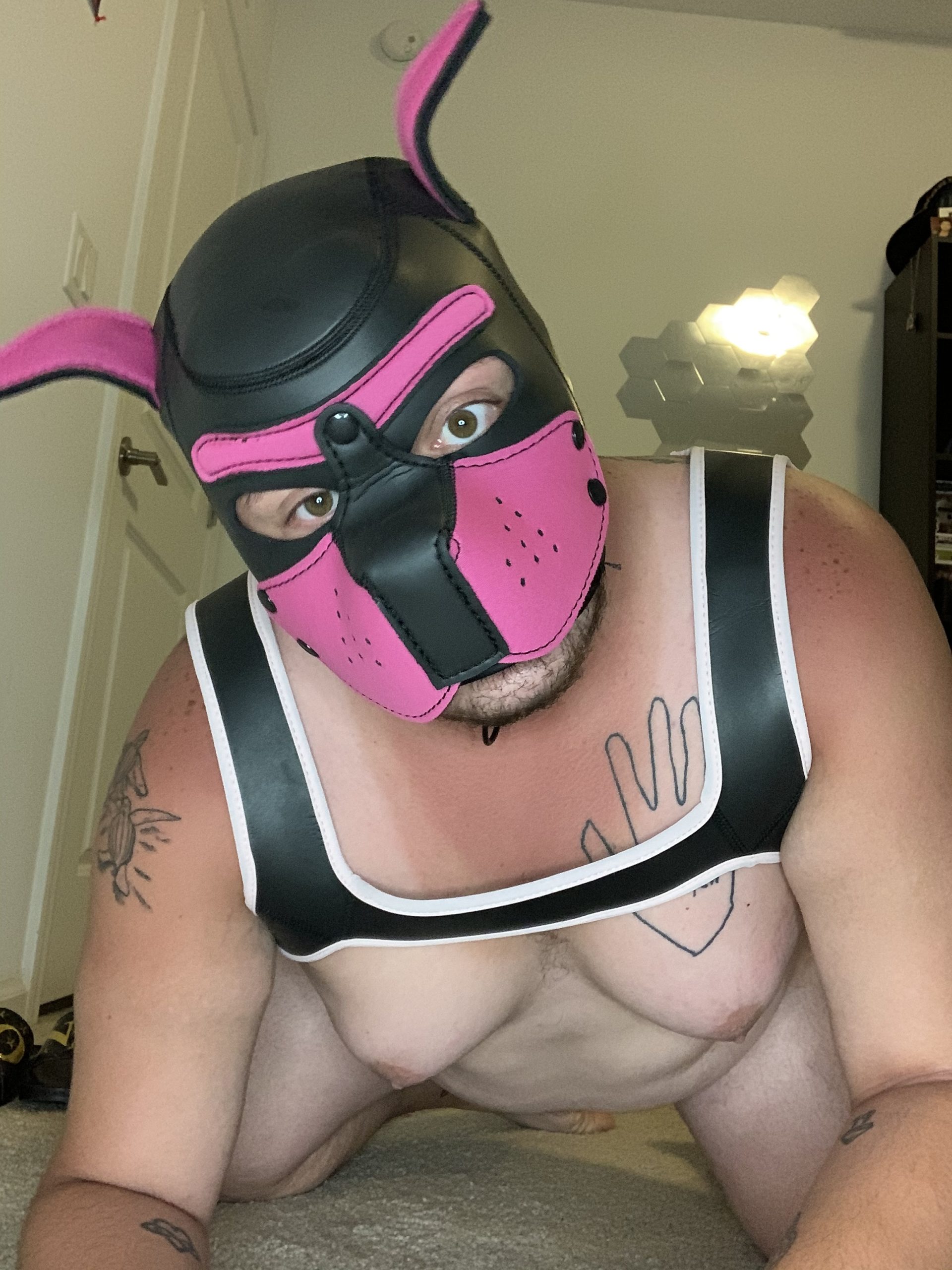 Pup Buzz OnlyFans – free nudes, naked, leaked