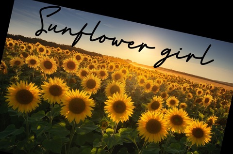 m.sunflower