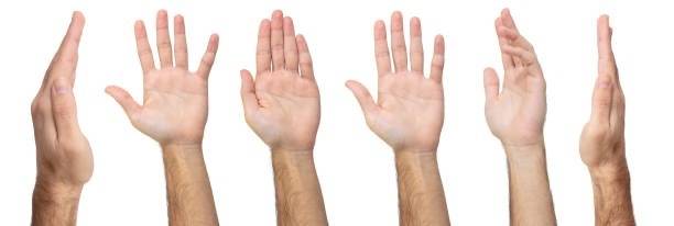 The Official Hands Account