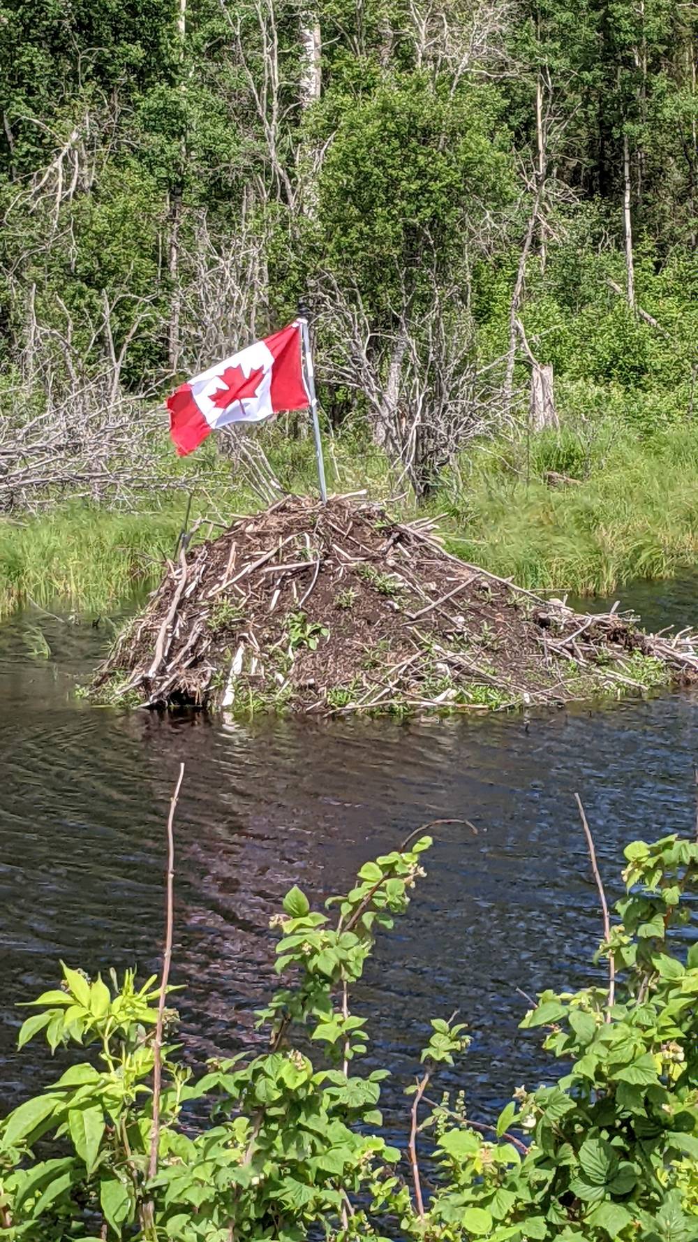 Northern _Fisherman