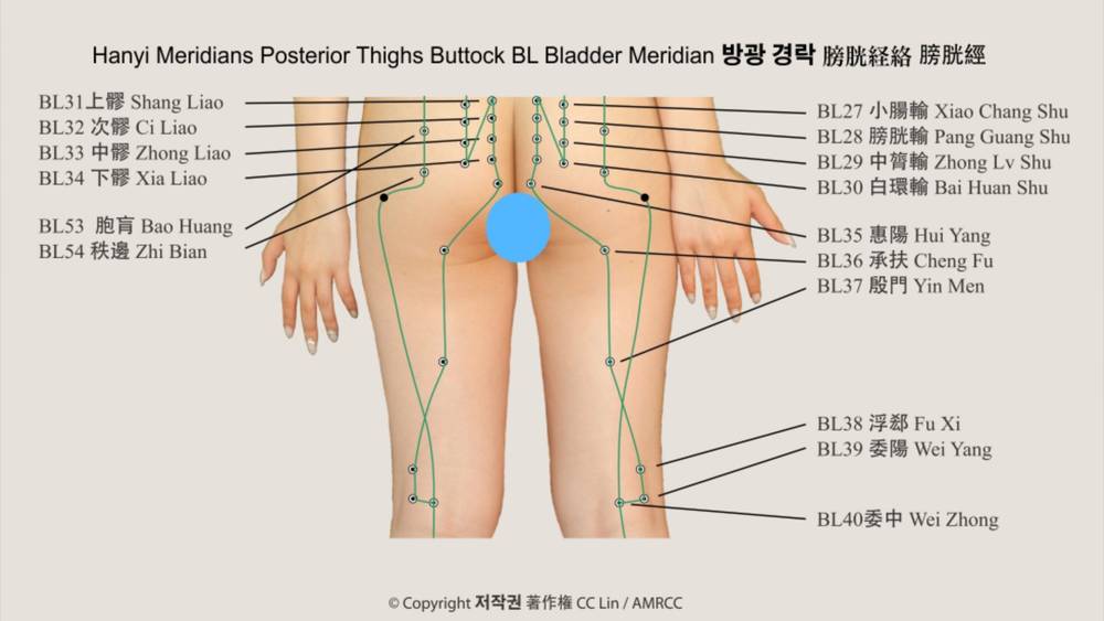 Aroma Massage 마사지 マッサージ