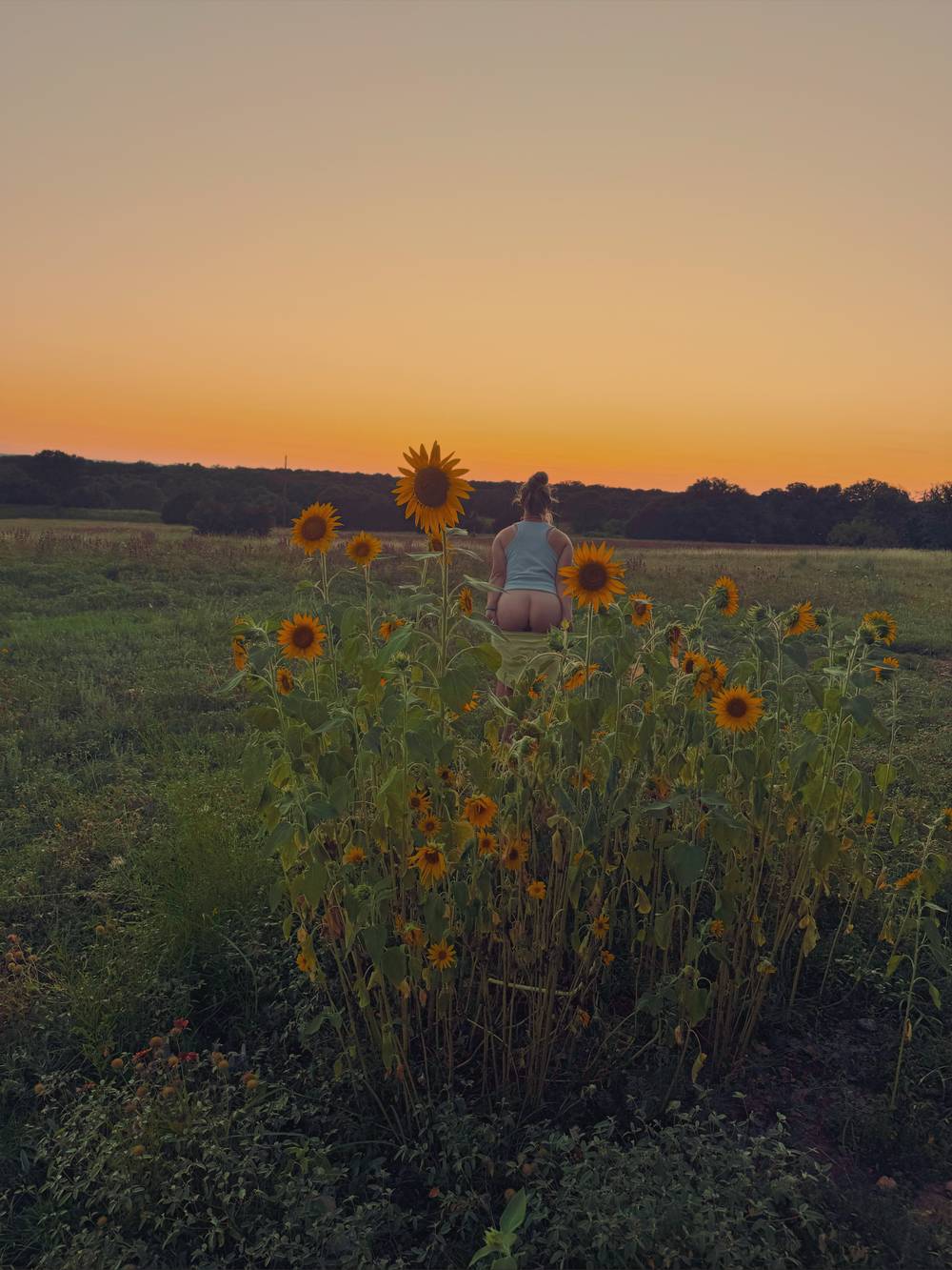 Bluebonnet Lynn