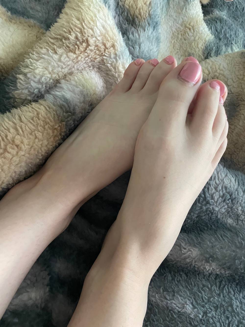 Pretty Piggies