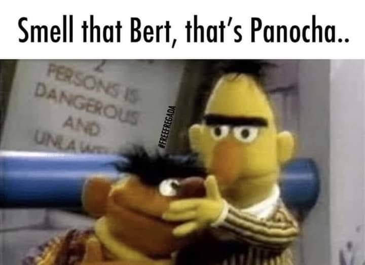 Bert-N-Ernie