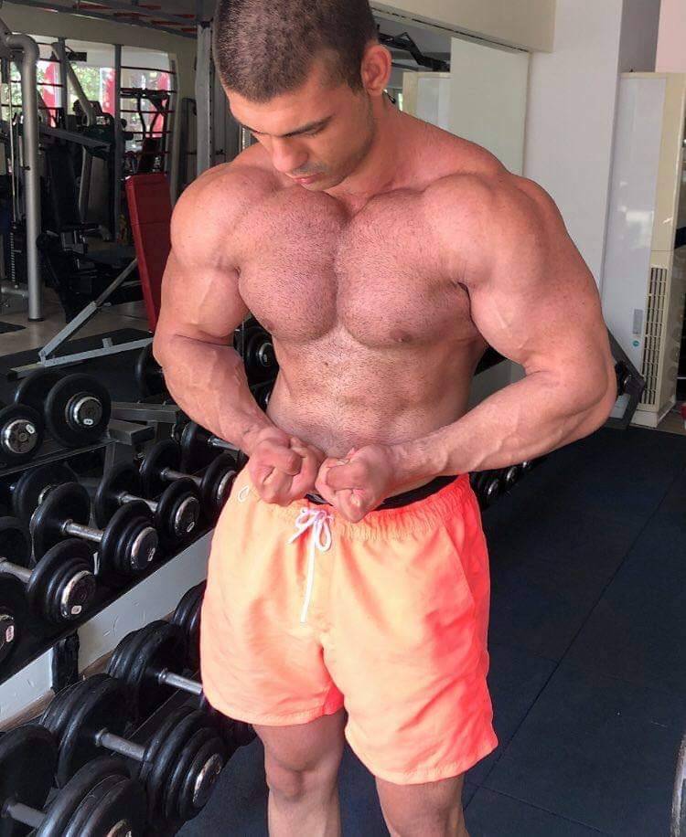 Muscledomination_fullvids